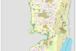 Israeli Occupation of Palestine’s West Bank during Covid’19 Pandemic 