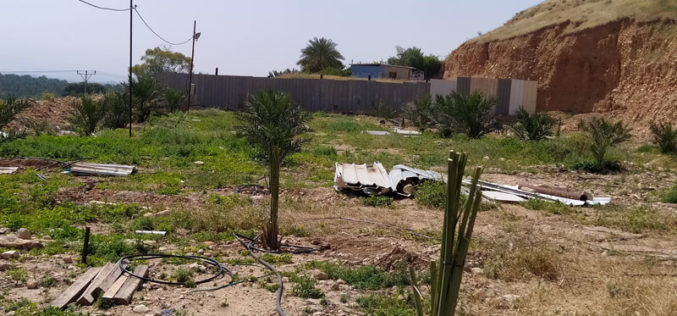 إخطار بـ” إخلاء أراضي” مزروعة بالنخيل في قرية الجفتلك شمال أريحا