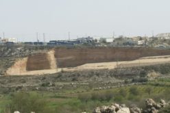 Monitoring Report on the Israeli Settlement Activities in the occupied State of Palestine – July 2020