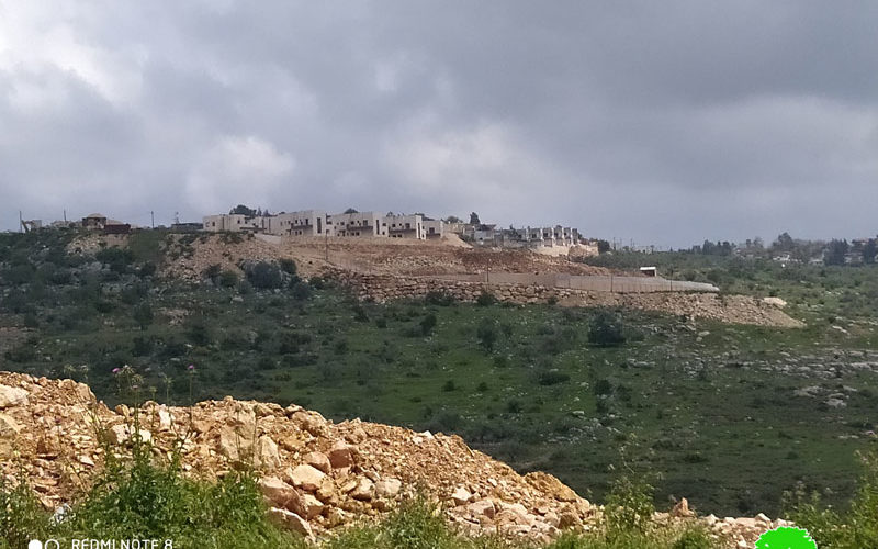 مستعمرة “بركان” الإسرائيلية تواصل تجريف الأراضي في قرية سرطة / محافظة سلفيت