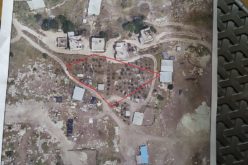 الاحتلال يقتلع 84 شجرة زيتون في قرية بردلة بمحافظة طوباس