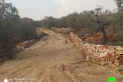 The Israeli Occupation halts work on an agricultural road / Deir Istiya