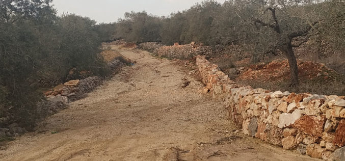 The Israeli Occupation halts work on an agricultural road / Deir Istiya