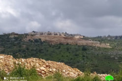 مستعمرة “بركان” الإسرائيلية تواصل تجريف الأراضي في قرية سرطة / محافظة سلفيت