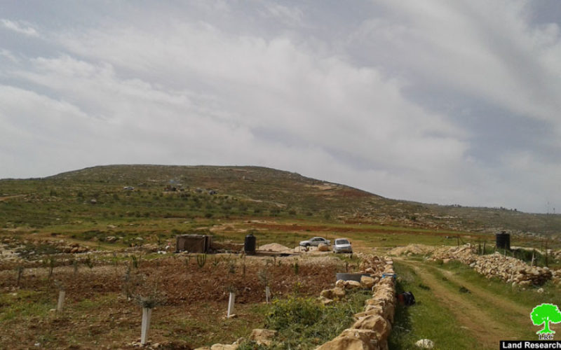 Settlers attack farmers and their lands east of Al-Shuyoukh town / Hebron governorate