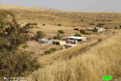 بحجة تدمير الآثار الاحتلال يخطر بإزالة منشآت سكنية وزراعية  في قرية رأس العوجا / محافظة أريحا