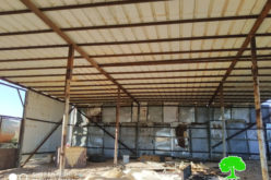 The Occupation targets an agricultural shack in Atouf / Tubas governorate