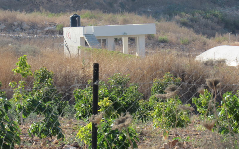 Halt of Work notice for agricultural facilities in An-Nabi Elyas village / Qalqilya