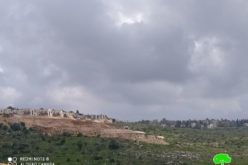 Leveling lands in Sarta for the Favor of Barkan settlement / Salfit