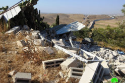 The Occupation demolishes an agricultural facility in Beit Mirsim West Hebron