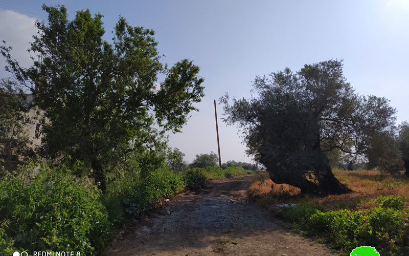 إيقاف العمل في تأهيل طريق زراعي في بلدة كفر الديك بمحافظة سلفيت