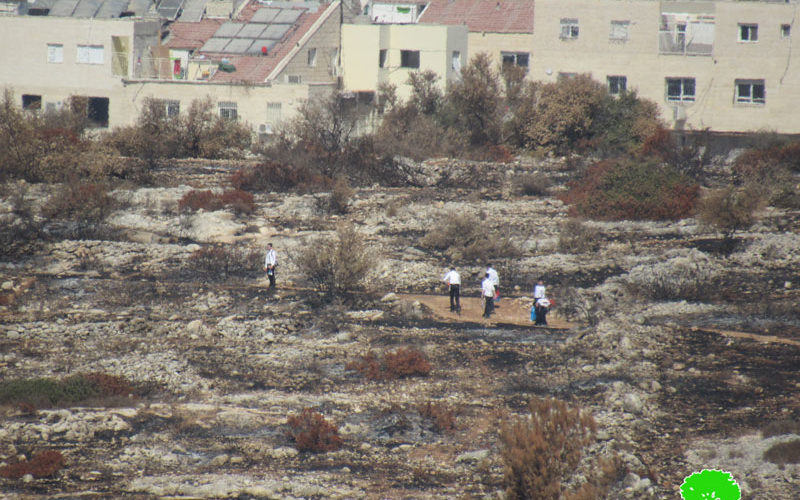 Settlers carry out an Arson Attack in Saffa and Bal’in/ Ramallah governorate