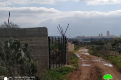 الاحتلال يستهدف أرض زراعية في بلدة نعلين  / محافظة رام الله