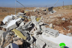 الاحتلال يهدم غرفة سكنية بخربة ” وادي جحيش” جنوب يطا بمحافظة الخليل