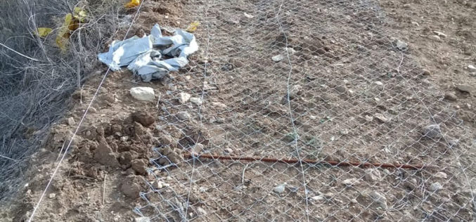 The settlers of “Hafat Gilad” cut and steal a fence around a plot of land in the village of Farata, Qalqilya Governorate
