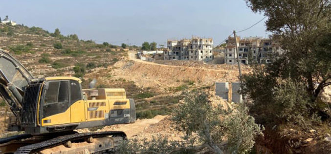 The Israeli Occupation machineries uproot 22 olive trees in Ras Karkar village / Ramallah governorate