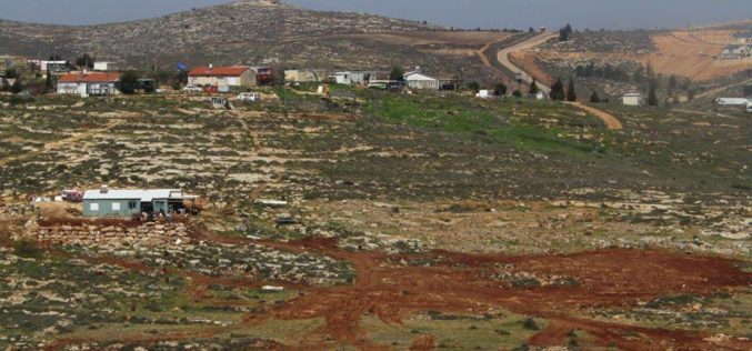 Settlers ravage lands and uproot trees in Al-Mughayyir / Ramallah