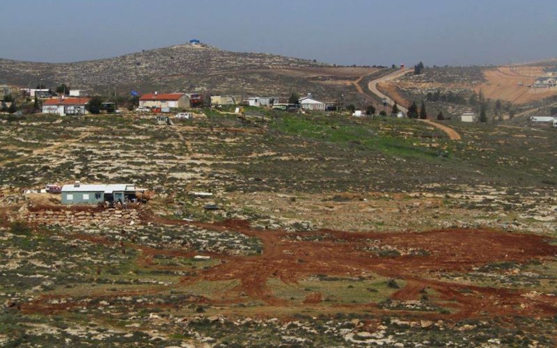Settlers ravage lands and uproot trees in Al-Mughayyir / Ramallah