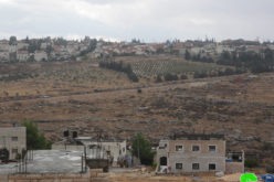 Seizing and planting Palestinian owned land at the hands of Israeli Settlers