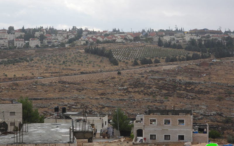 Seizing and planting Palestinian owned land at the hands of Israeli Settlers