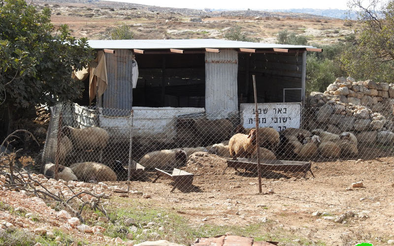 Notice to remove an agricultural facility in Al-Simiya, west of Al-Samu, Hebron Governorate