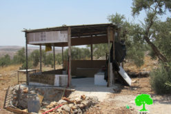 Notice of demolition for three agricultural facilities in Rantis village / Ramallah governorate