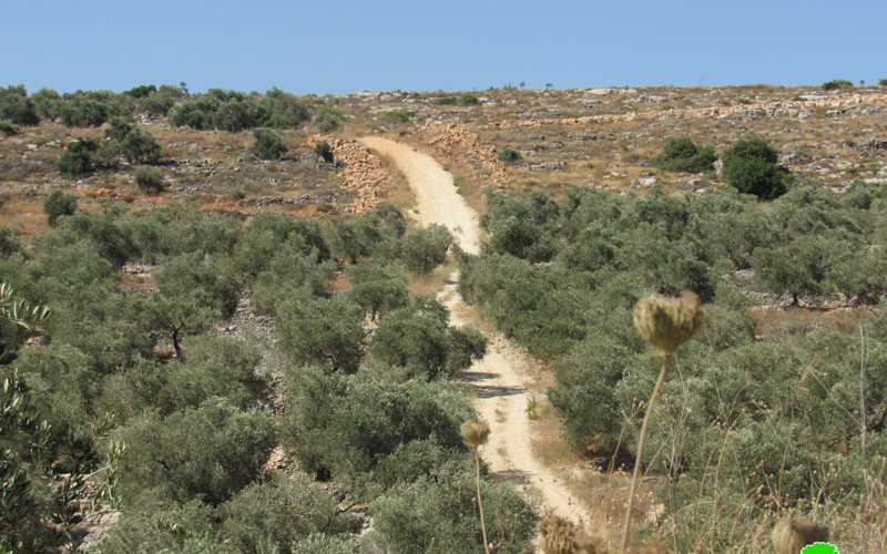 Halting Road Rehabilitation-  west Deir Istiya / Salfot governorate