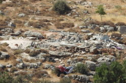 The Israeli Occupation demolishes an agricultural room in “Wad Al-A’awar” south Hebron