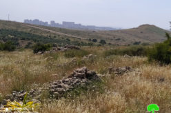 الشروع بتجهيز مخططات لإنشاء مقبرة يهودية على أراضي محافظة سلفيت