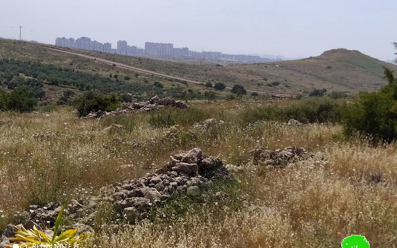 الشروع بتجهيز مخططات لإنشاء مقبرة يهودية على أراضي محافظة سلفيت