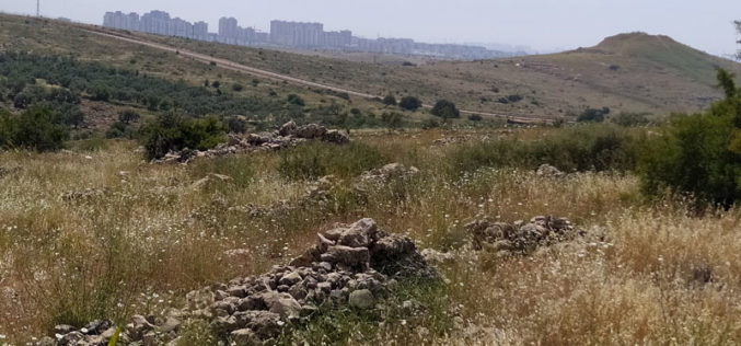 New Jewish Cemetery to be established on confiscated lands from Salfit
