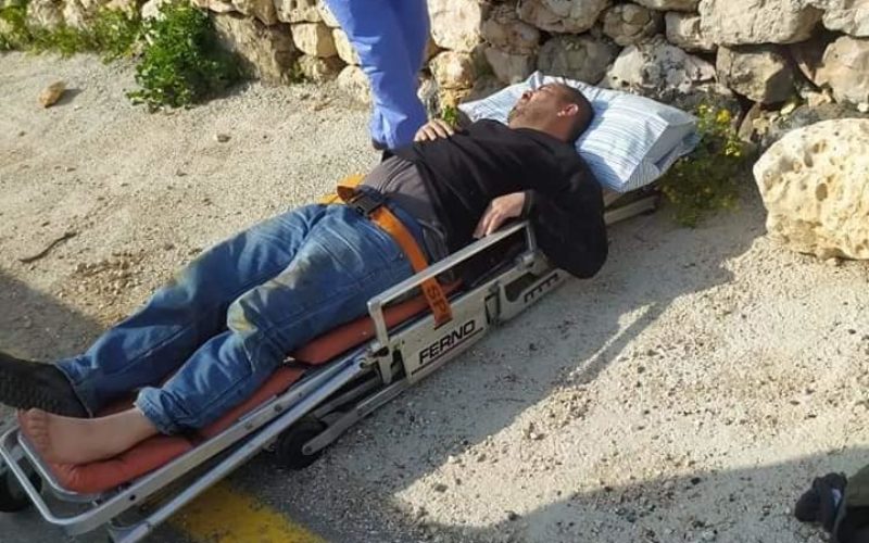 Fanatic Colonists Attack Farmers in Jibya village / Ramallah governorate