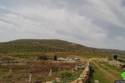 Palestinian farmers attacked by Colonists east Al-Shuyoukh/ Hebron Governorate