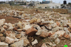 جيش الاحتلال يجرف أرض ويهدم جدران استنادية في  بلدة بتير / محافظة بيت لحم