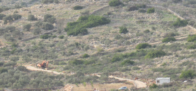مستعمرون يقطعون أشجار زيتون ويشقون طرق زراعية في خلة حسان ببلدة بديا / محافظة سلفيت