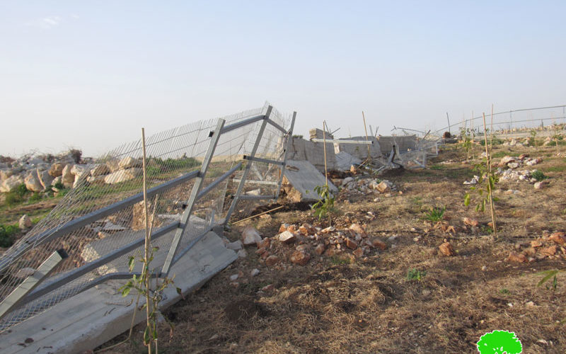 Demolishing a Retaining Wall and a Siege that surround a plot in Jubara village / Tulkarm governorate