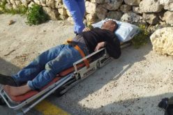 Fanatic Colonists Attack Farmers in Jibya village / Ramallah governorate