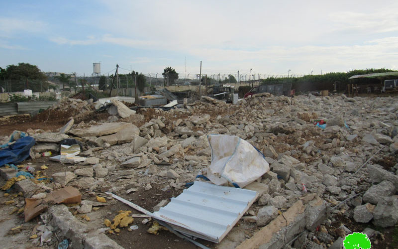 Two commercial stores demolished in Qalqliya city