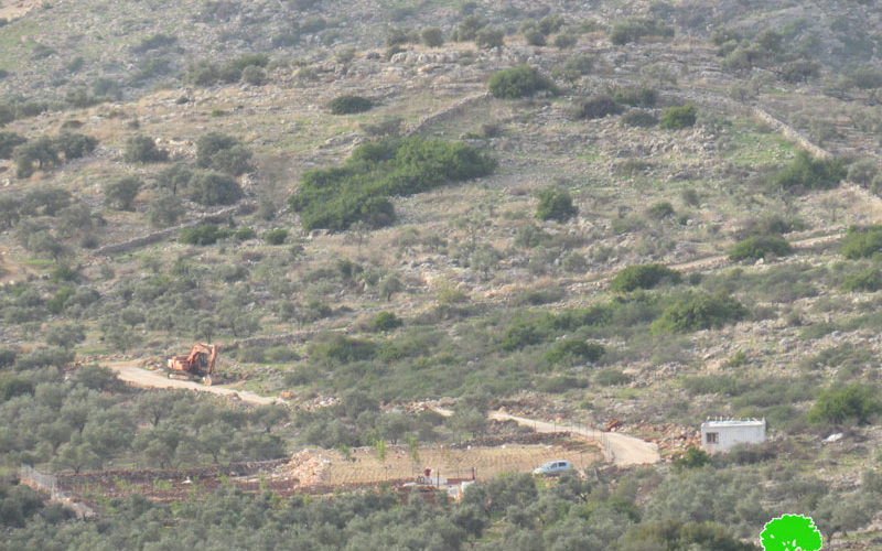 مستعمرون يقطعون أشجار زيتون ويشقون طرق زراعية في خلة حسان ببلدة بديا / محافظة سلفيت