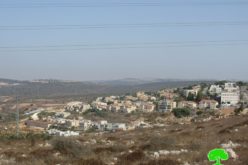 Expanding Revava Colony on Salfit governorate