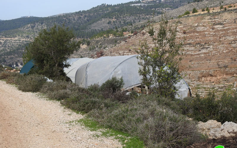 Colonists set up a Shack in Marah Salah area / Battir- Bethlehem governorate