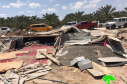 Demolishing Residential and Agricultural facilities in Deir Abu Hajleh area – Jericho governorate