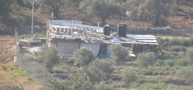 Halt of Work and Removal Notice targets an Agricultural Room in Wadi Ar-Rasha village east Qalqilya