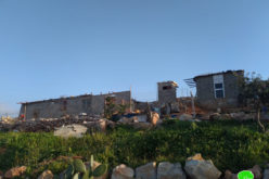إخطار مسكن بأمر نهائي بالهدم في بلدة تقوع / محافظة بيت لحم