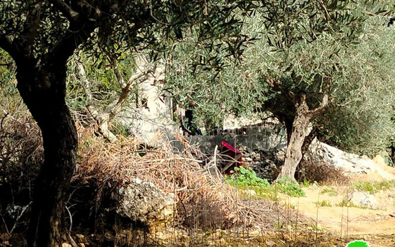 The Occupation’s Bulldozers Demolish Structures in Bettir town / Bethlehem Governorate