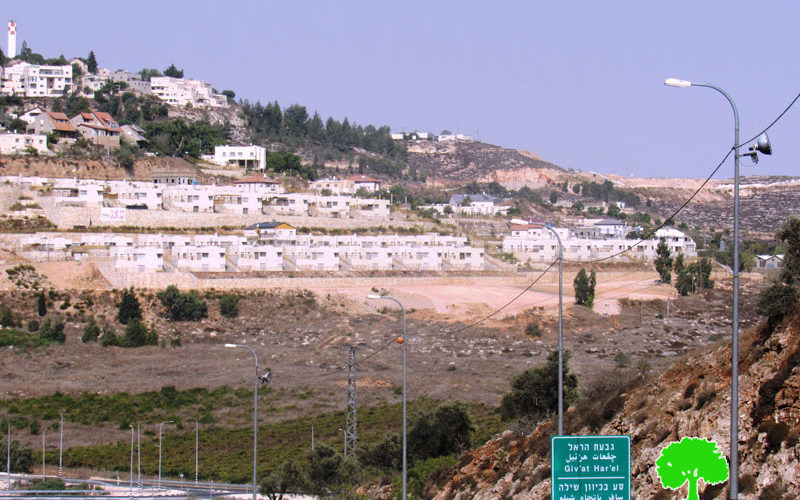 New Colonial Block to be added to “Shilo” colony on Turmus’ayya village lands / Ramallah governorate