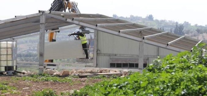 Demolishing and Confiscating an Agricultural facility in Zif / Hebron governorate