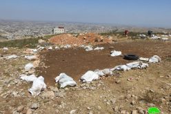 Two Tents Demolished and Confiscated in Khallet Taha – West Dura / Hebron Governorate
