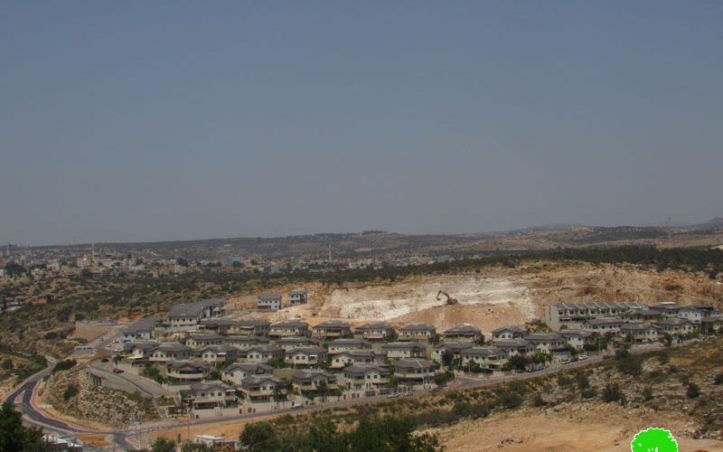 The Israeli Occupation Authorities Ravage Vast areas of Mas-ha land/ Salfit Governorate