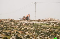 Colonists attack Citizens lands in “’Ein Al-Bayda” east Yatta